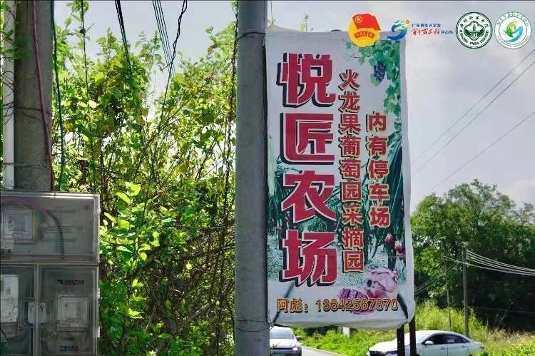 【助力鄉(xiāng)春社會(huì)實(shí)踐隊(duì)】 挖掘西河農(nóng)業(yè)特色，探尋產(chǎn)業(yè)發(fā)展脈絡(luò)