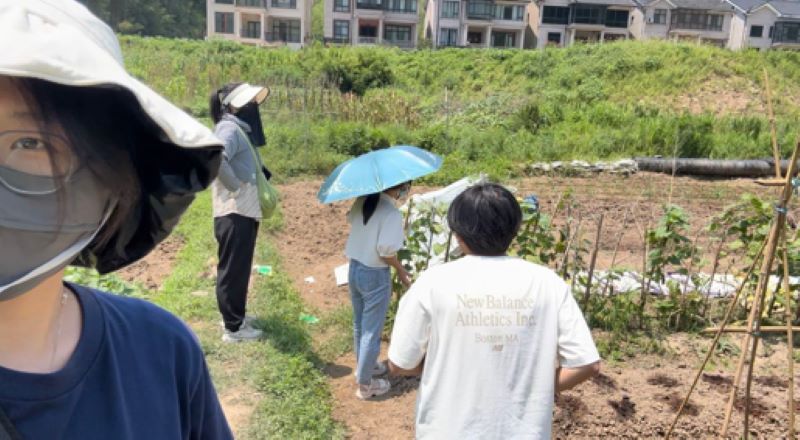 助力竹林雞品牌 探索鄉(xiāng)村振興之路