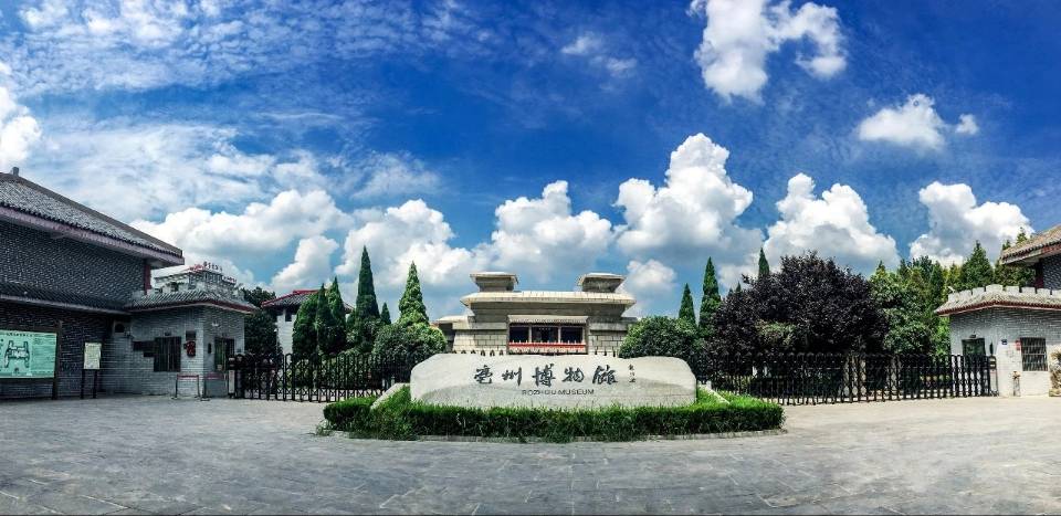 淮師學(xué)子三下鄉(xiāng)∶深耕亳州沃土，聚焦博物館紅跡