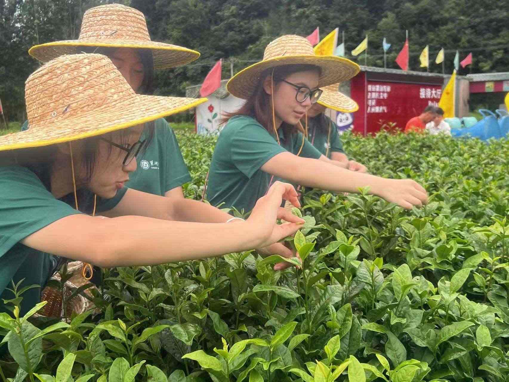 茶禮傳承，茶德體悟