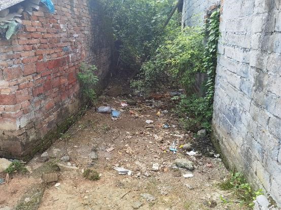 守護(hù)地球，共建綠色家園