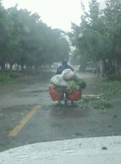 犀利哥，賣菜風(fēng)吹雨打都不怕