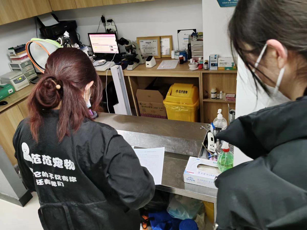 山東大學殼膜智匠實踐調(diào)研團前往邯鄲市寵物醫(yī)院實地調(diào)研